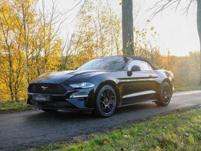 Ford Mustang 2.3Eco - FACELIFT - VIRTUAL - CAMERA - COOLED SEATS - ACC - - <small></small> 44.450 € <small>TTC</small> - #2