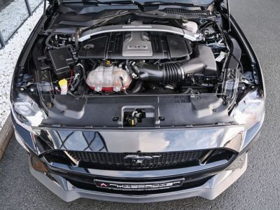 Ford Mustang 5.0 Ti-VCT V8 GT Aut. Navi  - 7