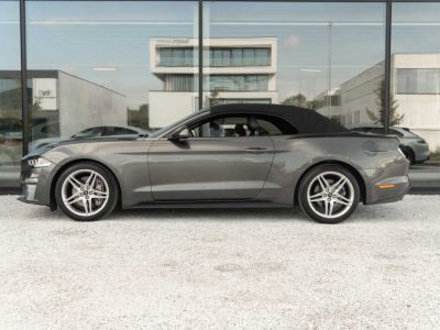 Ford Mustang Cabrio 2.3 EcoBoost SportExhaust FULL  - 8