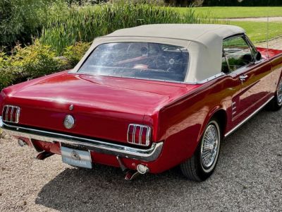 Ford Mustang cabriolet 1966 - <small></small> 57.900 € <small>TTC</small> - #21