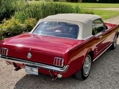 Ford Mustang cabriolet 1966 - <small></small> 57.900 € <small>TTC</small> - #23