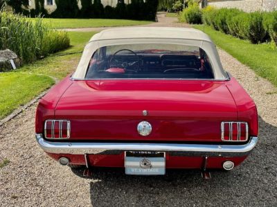 Ford Mustang cabriolet 1966 - <small></small> 57.900 € <small>TTC</small> - #30