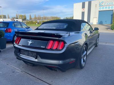 Ford Mustang CABRIOLET CUIR GPS FULL OPTION  - 6