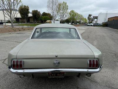 Ford Mustang COUPE 289 CI V8 VERTE CODE C 1966 - <small></small> 32.500 € <small>TTC</small>