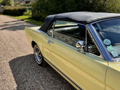 Ford Mustang gt 1966 cab - <small></small> 67.900 € <small>TTC</small>