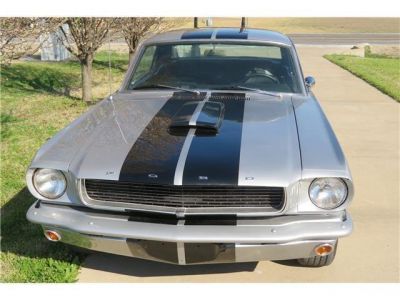 Ford Mustang GT350 - <small></small> 29.900 € <small>TTC</small>