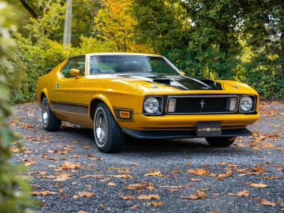 Ford Mustang Mach 1  - 1