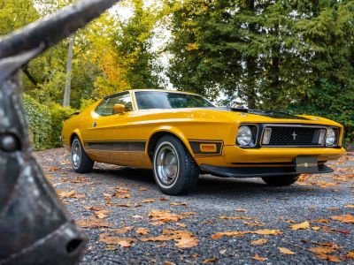 Ford Mustang Mach 1  - 2