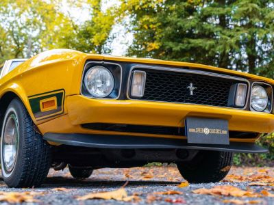 Ford Mustang Mach 1  - 3