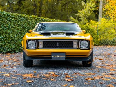 Ford Mustang Mach 1  - 4