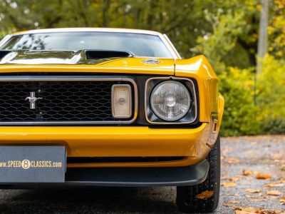 Ford Mustang Mach 1  - 7