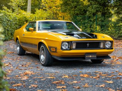 Ford Mustang Mach 1  - 12