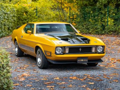 Ford Mustang Mach 1  - 13