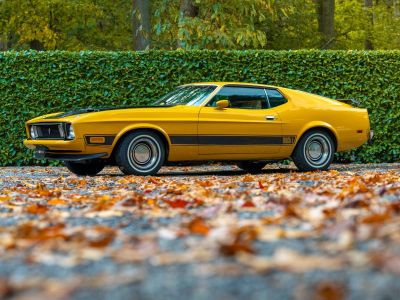 Ford Mustang Mach 1  - 14