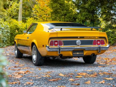 Ford Mustang Mach 1  - 19