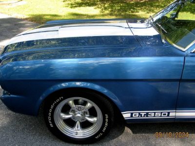 Ford Mustang Shelby fastback  - <small></small> 60.000 € <small>TTC</small>