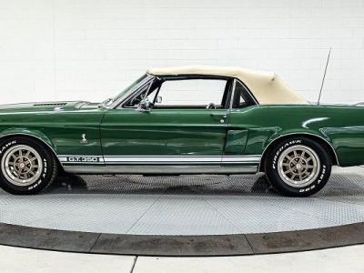 Ford Mustang Shelby GT 350 - <small></small> 150.500 € <small>TTC</small>