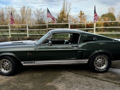 Ford Mustang Shelby GT 5000 KR - Prix sur Demande