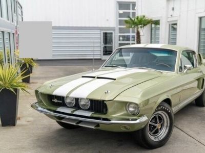 Ford Mustang Shelby GT350 - <small></small> 225.900 € <small>TTC</small>
