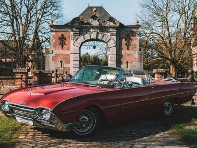 Ford Thunderbird (T-Bird) roadster V8 - CABRIO - LEDER - OLDTIMER  - 4