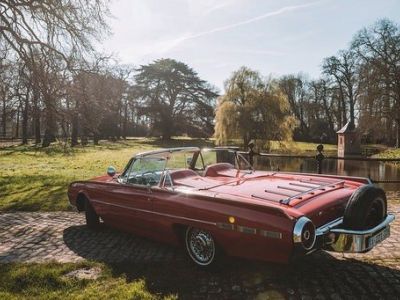 Ford Thunderbird (T-Bird) roadster V8 - CABRIO - LEDER - OLDTIMER  - 7