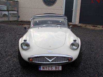 Jaguar Daimler SP 250  - 4