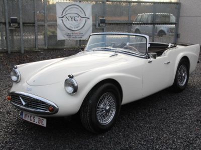 Jaguar Daimler SP 250  - 5