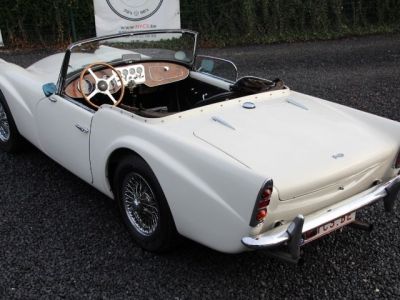 Jaguar Daimler SP 250  - 9