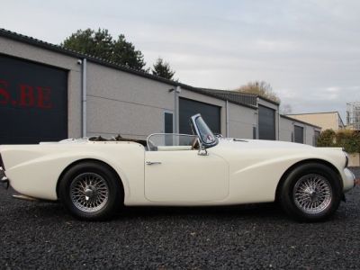 Jaguar Daimler SP 250  - 15