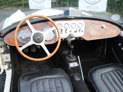 Jaguar Daimler SP 250  - 25