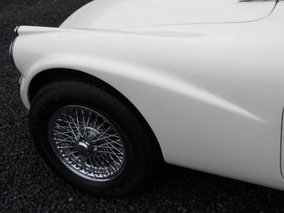 Jaguar Daimler SP 250  - 98