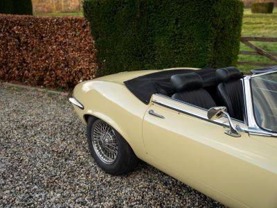 Jaguar E-Type S3 V12 Roadster Automatic  - 9