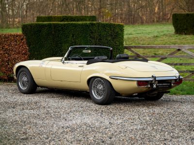 Jaguar E-Type S3 V12 Roadster Automatic  - 17