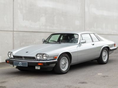 Jaguar XJS  - 5