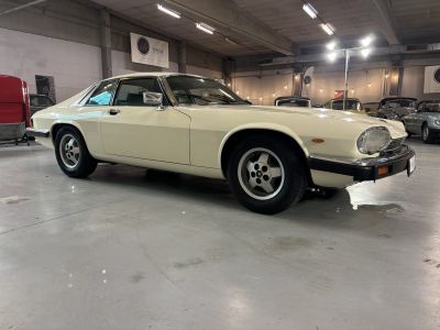 Jaguar XJS  - 8