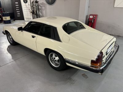 Jaguar XJS  - 14