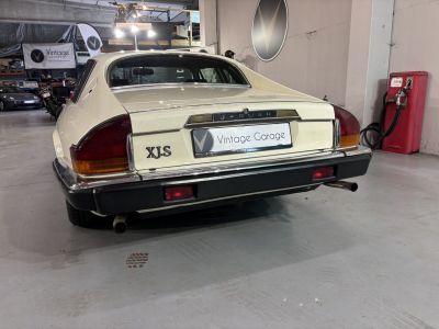 Jaguar XJS  - 16