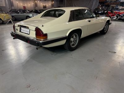 Jaguar XJS  - 19