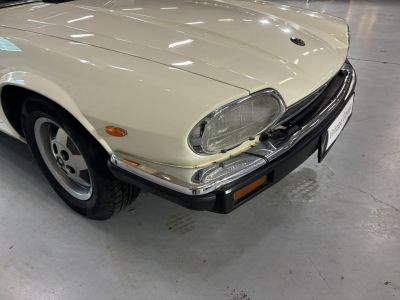 Jaguar XJS  - 25