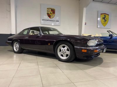 Jaguar XJS COUPE Phase 2  - 2