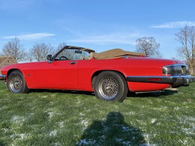 Jaguar XJS V12  - 2