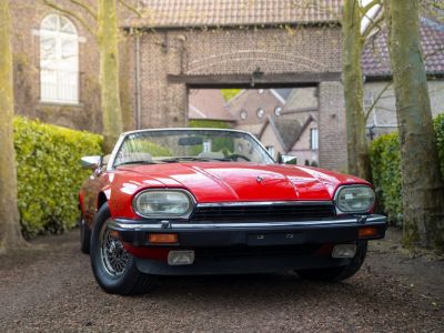 Jaguar XJS V12  - 11