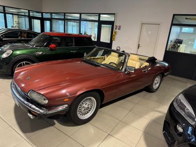 Jaguar XJSC XJS-C CABRIOLET 5.3 BVA Caractéristiques XJS-C CABRIOLET 5.3 BV  - 33