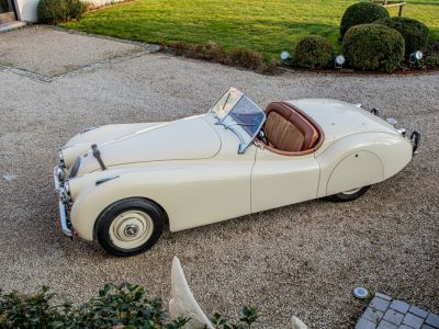 Jaguar XK120 XK 120 Open Top Speedster (OTS) LHD 1951 - OLDTIMER - GERESTAUREERD - MATCHING NUMBERS - SOFTTOP - CREAM WHITE - <small></small> 99.999 € <small>TTC</small>