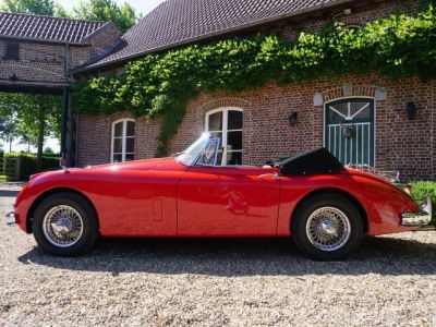 Jaguar XK150 XK 150 - 1960  - 2