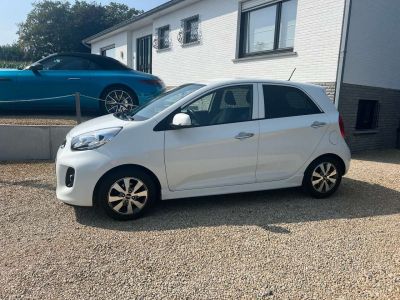 Kia Picanto 1.2i Sense ISG EEN EIGENAAR  - 3