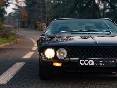 Lamborghini Espada  - 22