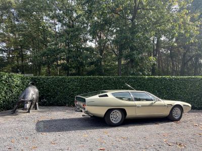 Lamborghini Espada S3  - 29