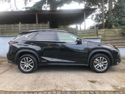 Lexus NX 300h 2.5i AWD Executive -- HYBRID--CARNET-GARANTIE 12M  - 5