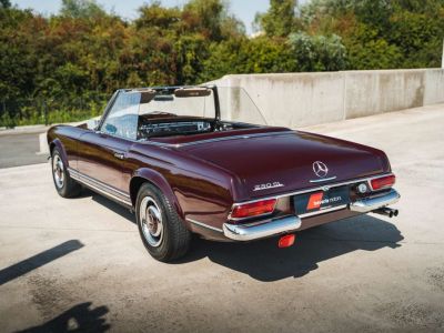 Mercedes 230 SL Pagode Purpurrot French Vehicle  - 4